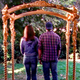 Image for article titled Gilmore Girls: “Red Light On The Wedding Night”/“The Road Trip To Harvard”